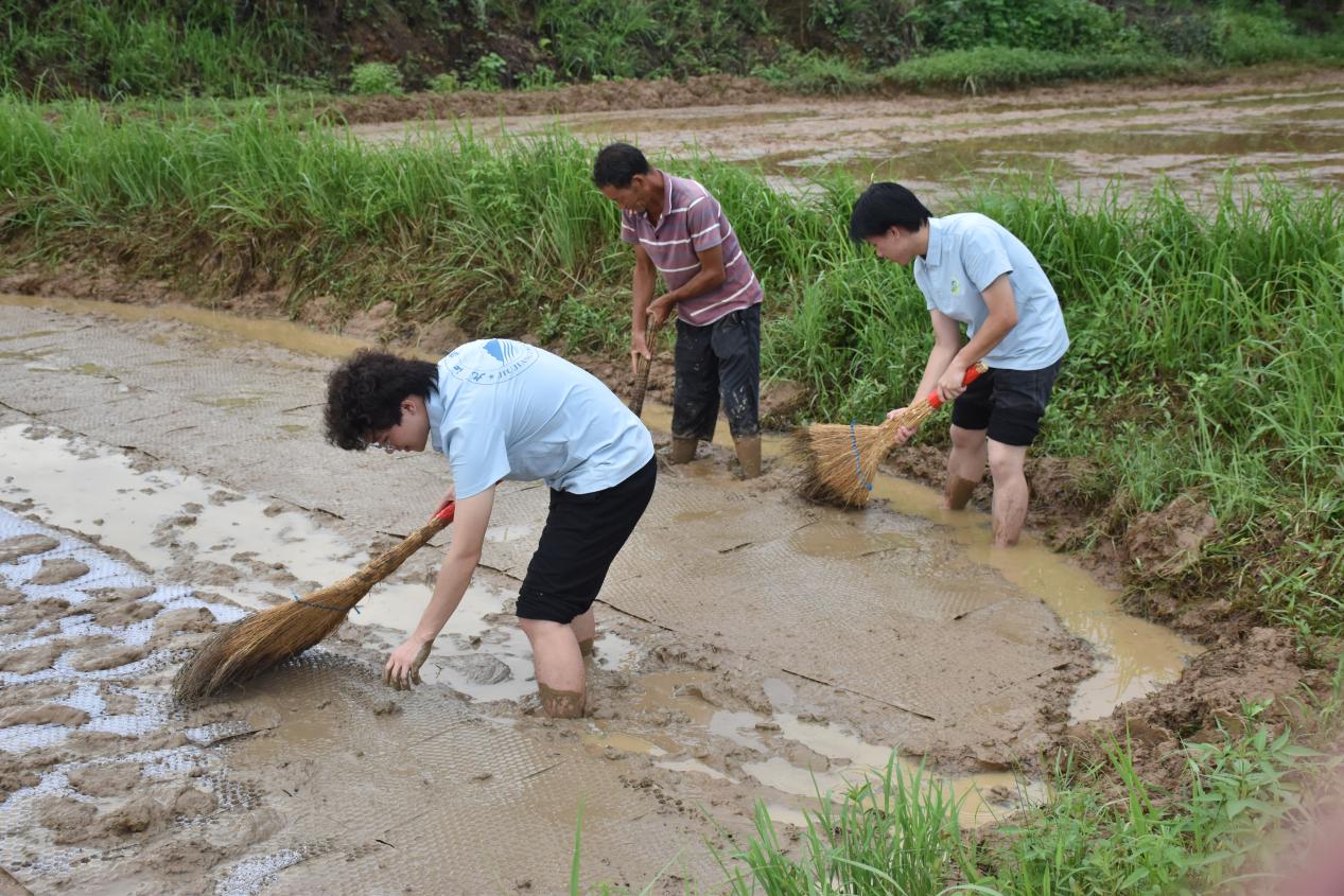 e3b3097baa9de7777c26216709817606